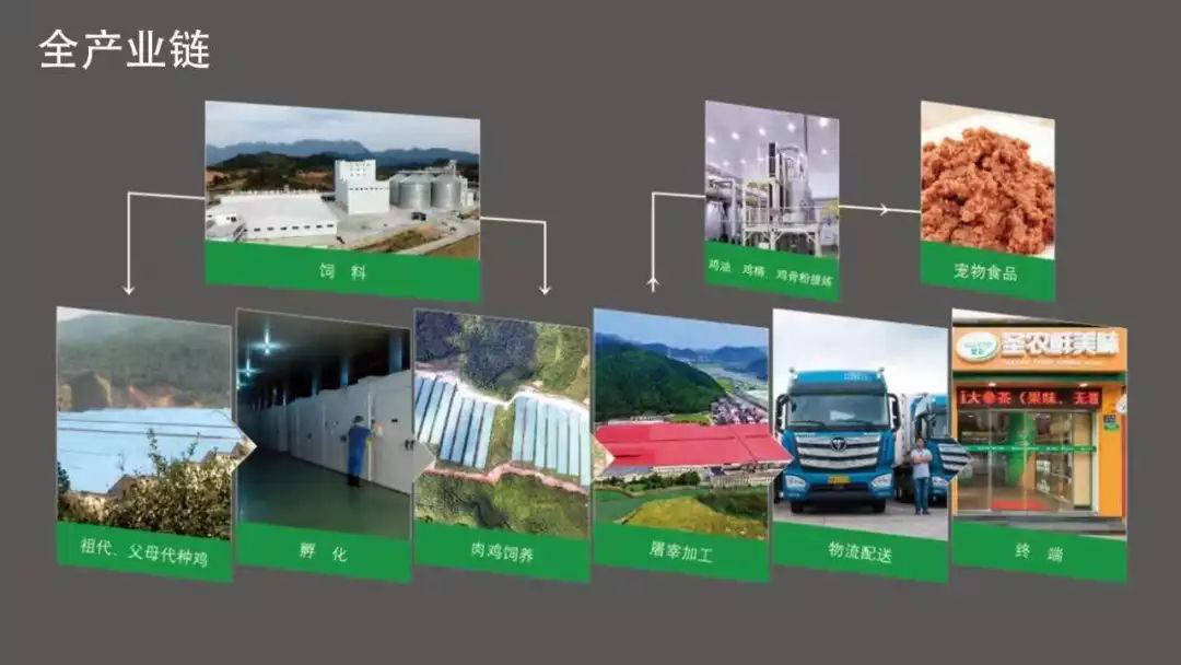 首页| Aggame游戏平台官方网站