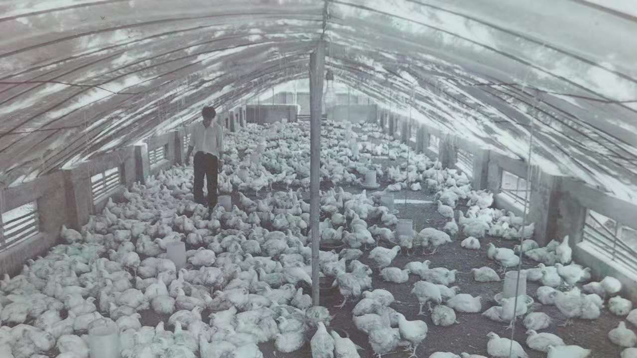 首页| Aggame游戏平台官方网站