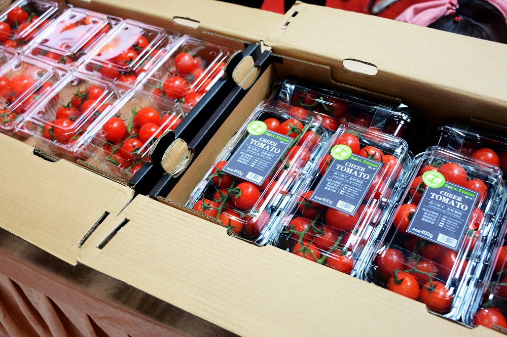 首页| Aggame游戏平台官方网站