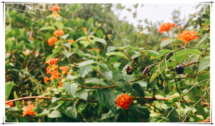 首页| Aggame游戏平台官方网站