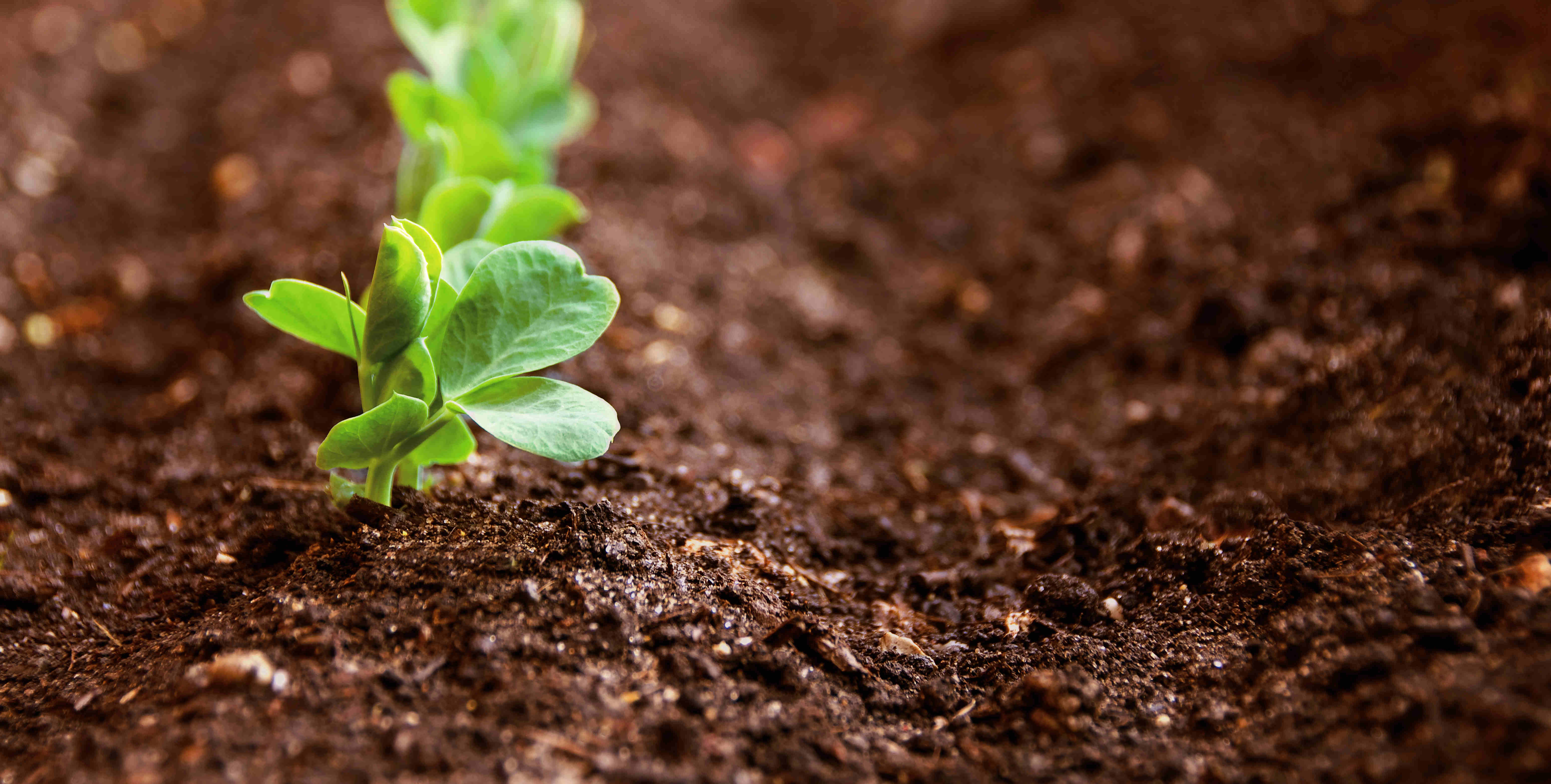 首页| Aggame游戏平台官方网站