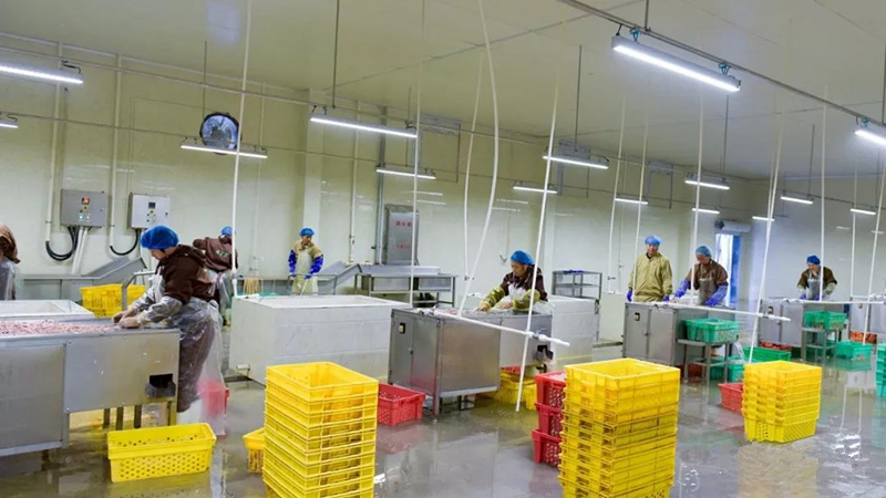 首页| Aggame游戏平台官方网站