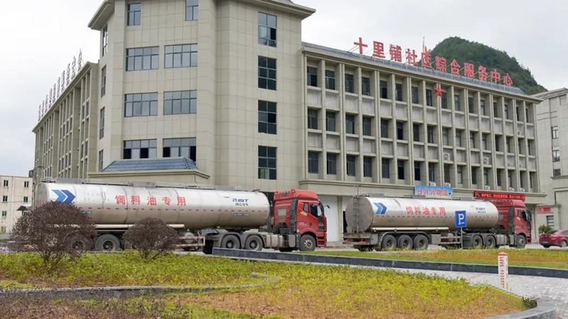 首页| Aggame游戏平台官方网站