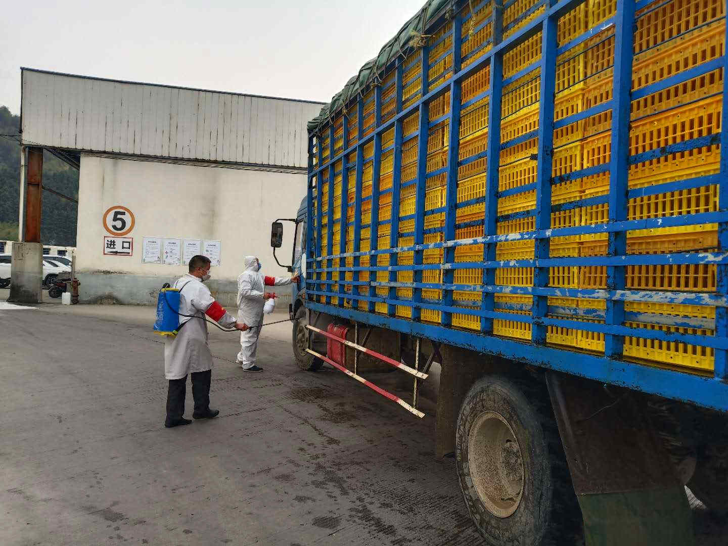 首页| Aggame游戏平台官方网站