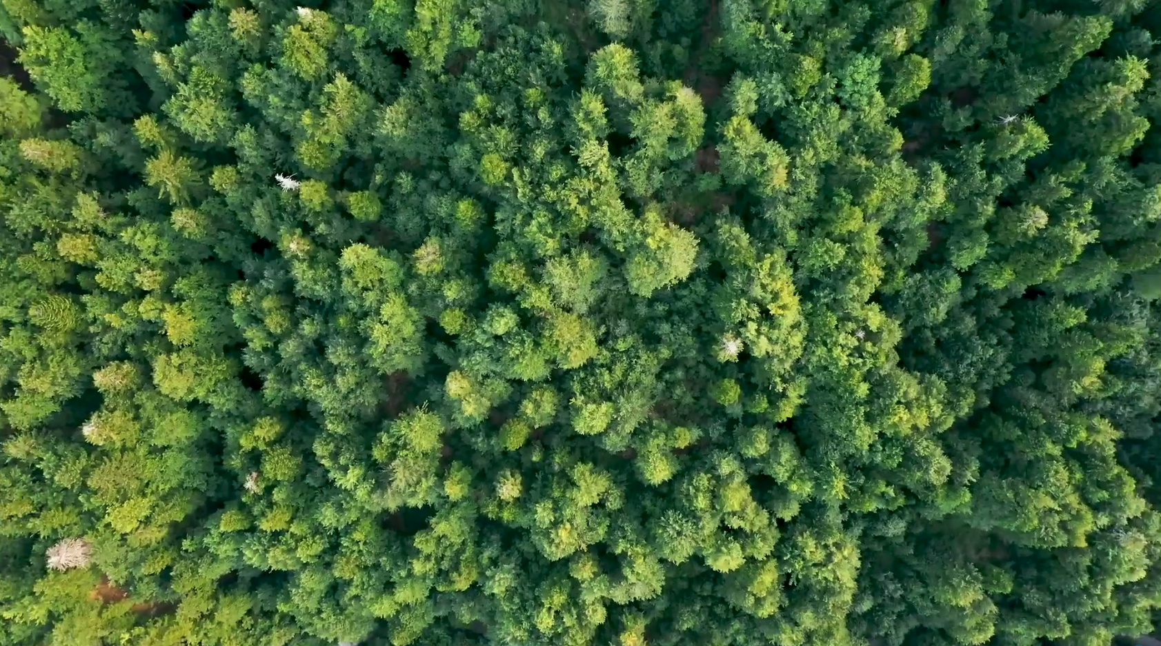 首页| Aggame游戏平台官方网站