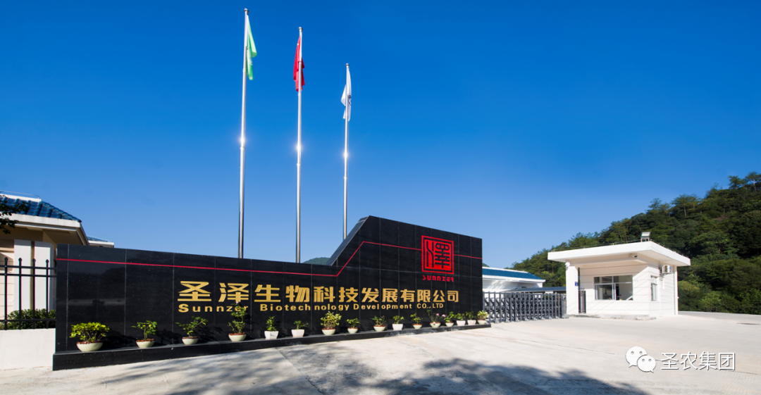 首页| Aggame游戏平台官方网站