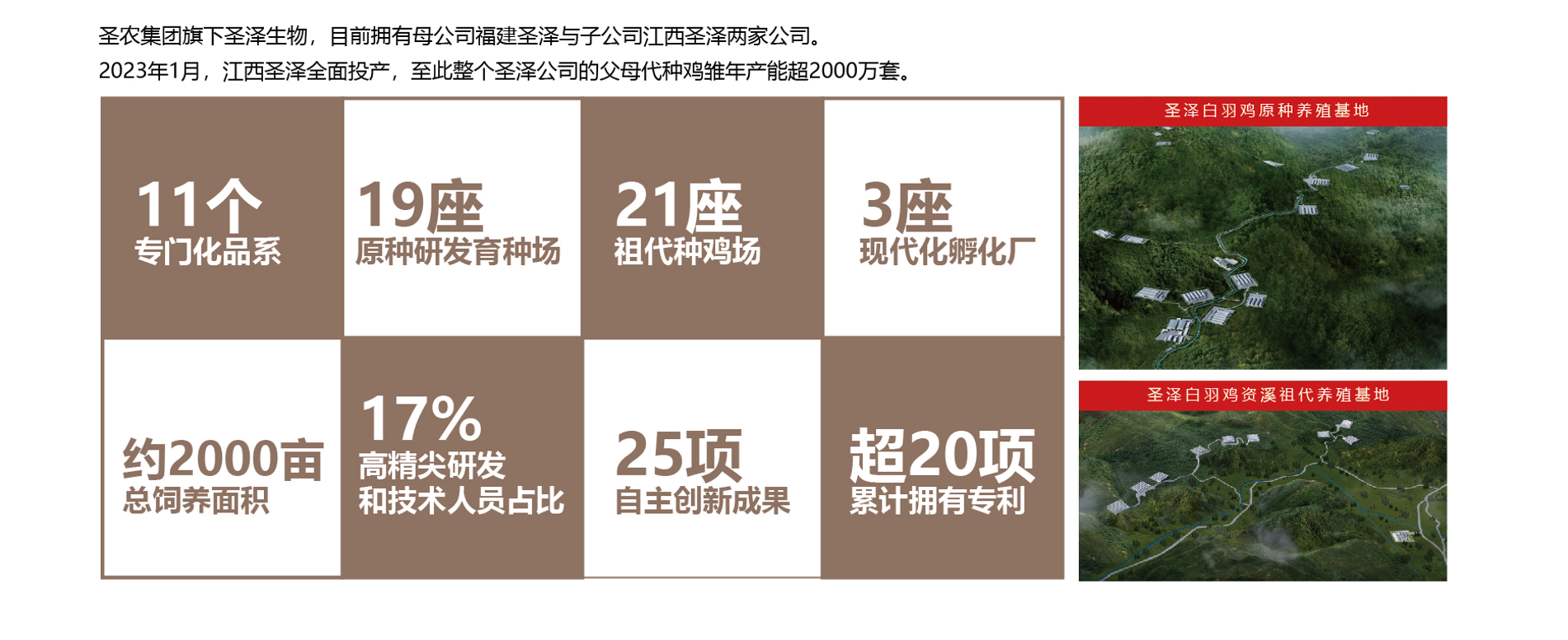 首页| Aggame游戏平台官方网站